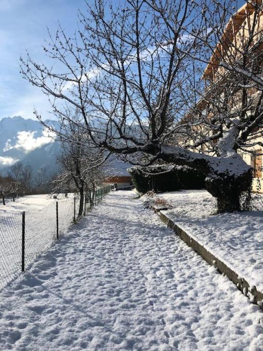 Appartement Rez De Jardin Montee De L'Alpe D'Huez 라가르드 외부 사진